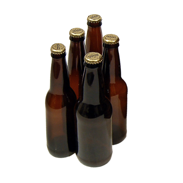 22 oz Beer Bottles - Case of 12 2